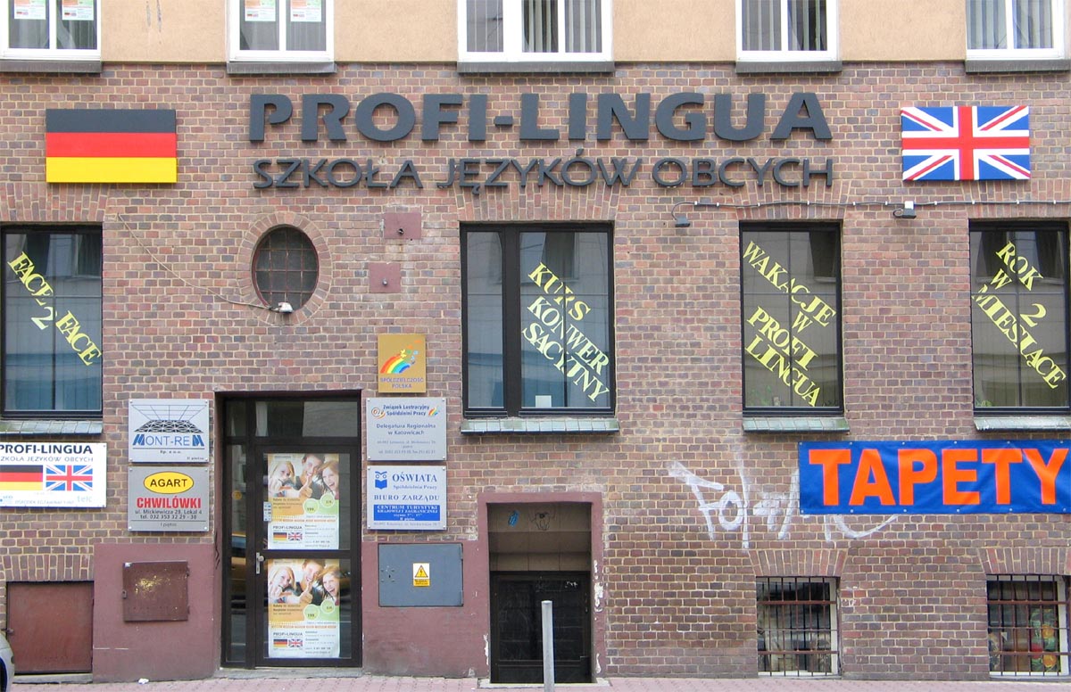 Profi-Lingua