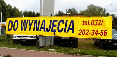 do wynajęcia